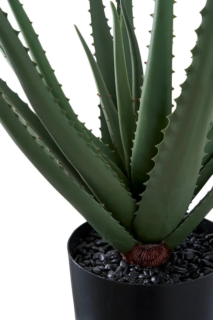 House Nordic Aloe Vera Yapay Saksı Bitkisi