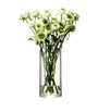 Glass Column Vase (28cm)