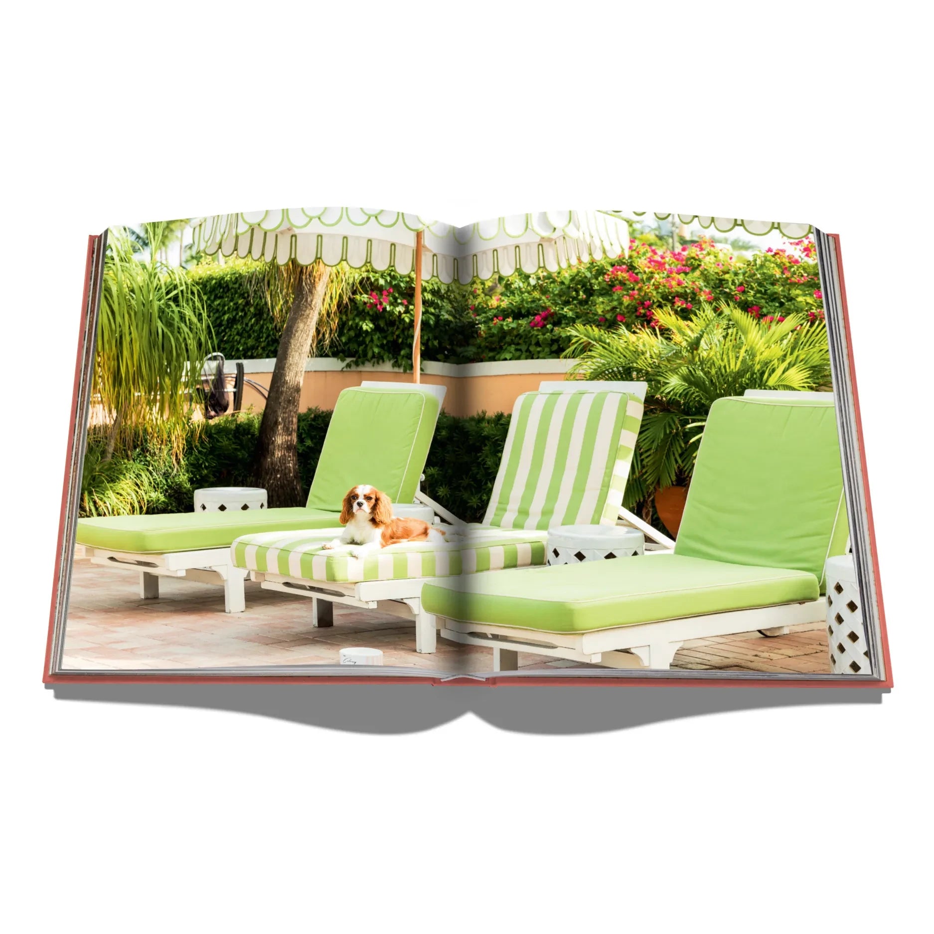 Assouline - Palm Beach