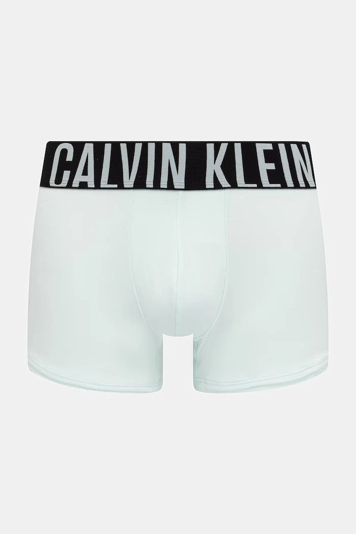 Calvin Klein Underwear 3'lü Set