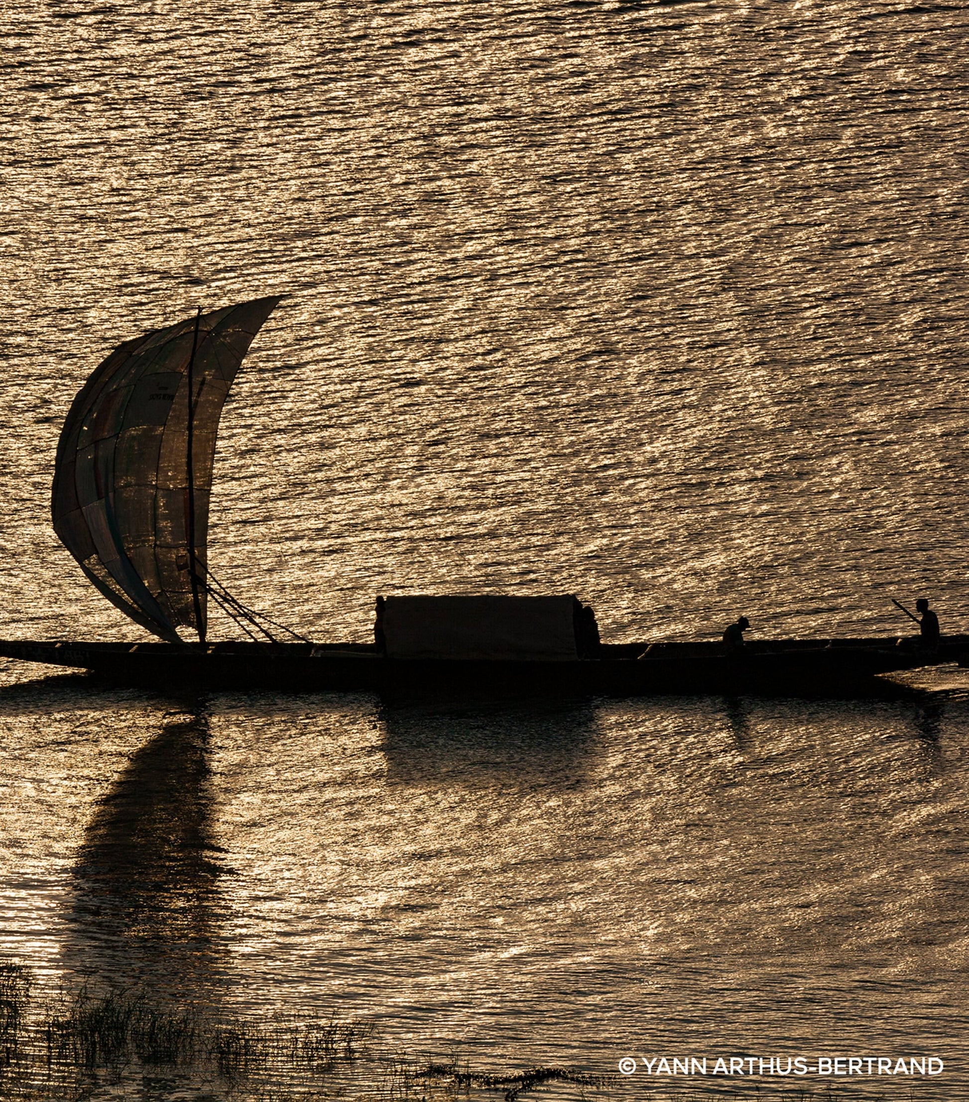 Absolus Allegoria Santal Royal Hair Mist (40ml)