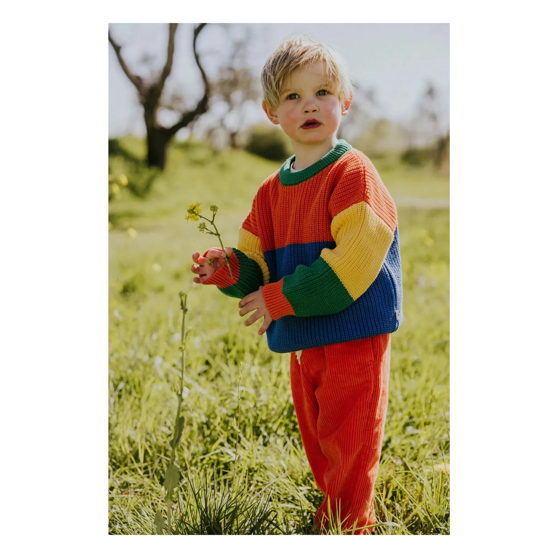 Yuki - Color Block Organic Cotton Sweater | Orange