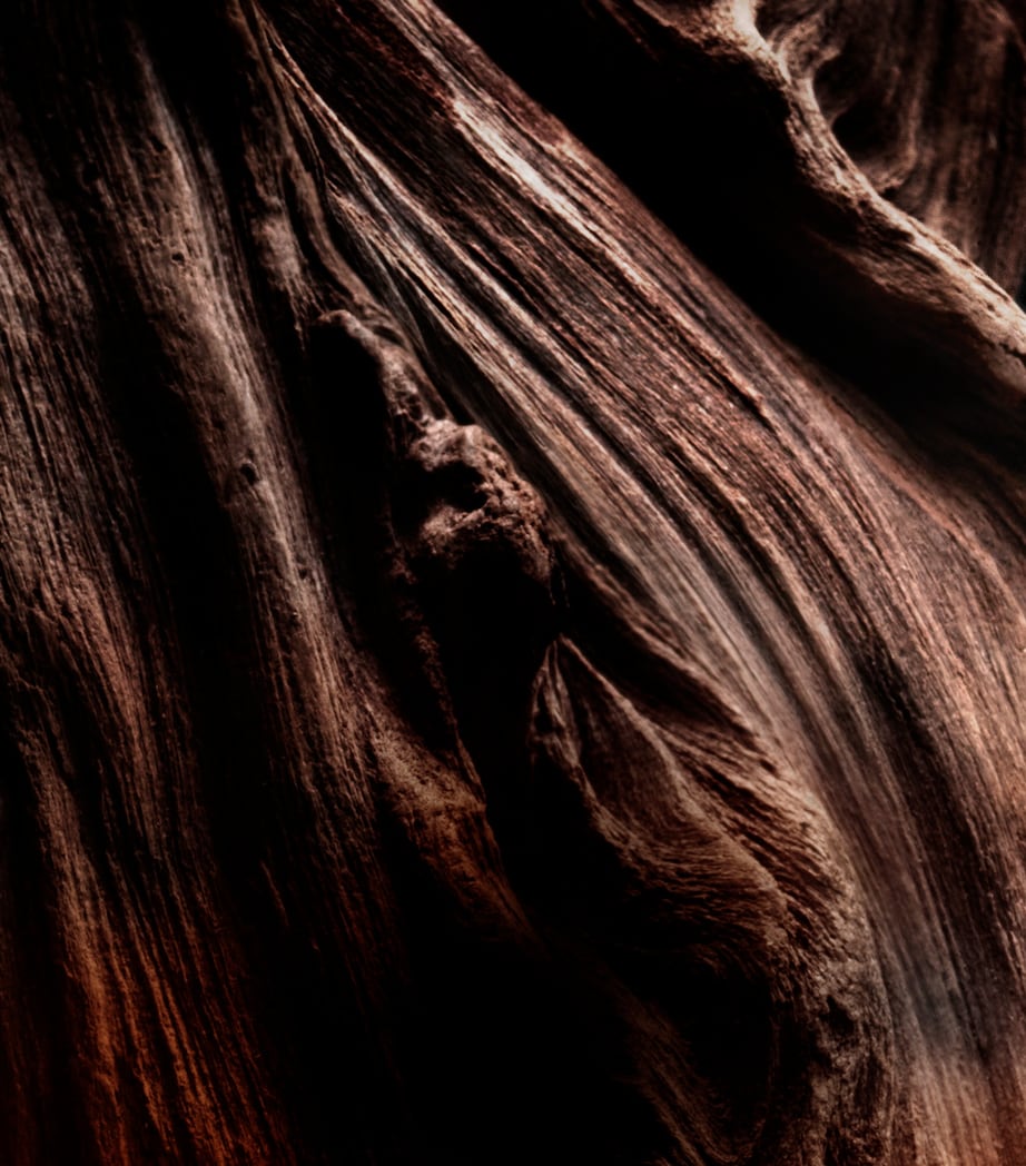 Absolus Allegoria Oud Essentiel Eau de Parfum (125ml)