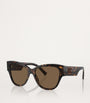 Acetate 0DG4449 Sunglasses