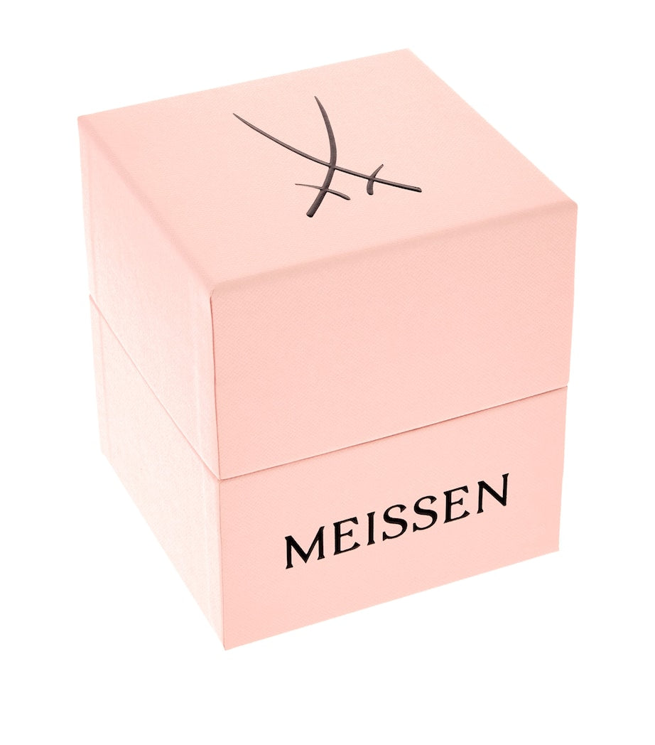 Meissen Porcelain Fancy Birds Mug