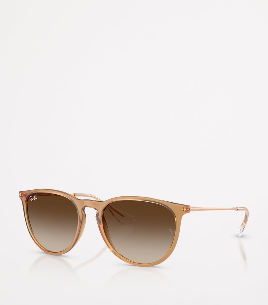 Ray-Ban RB4171 Erika Classic Sunglasses