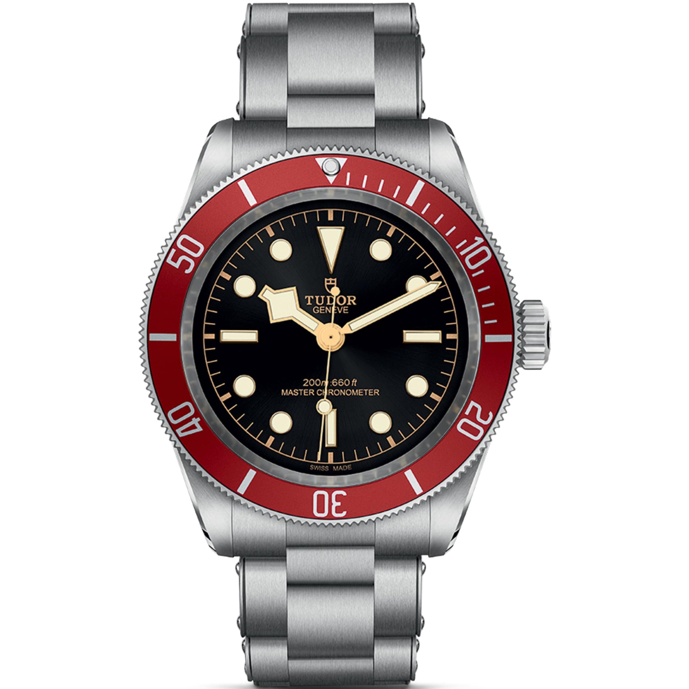 Stainless Steel Black Bay Watch 41mm