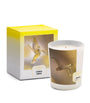 Apeliotes Candle (180g)