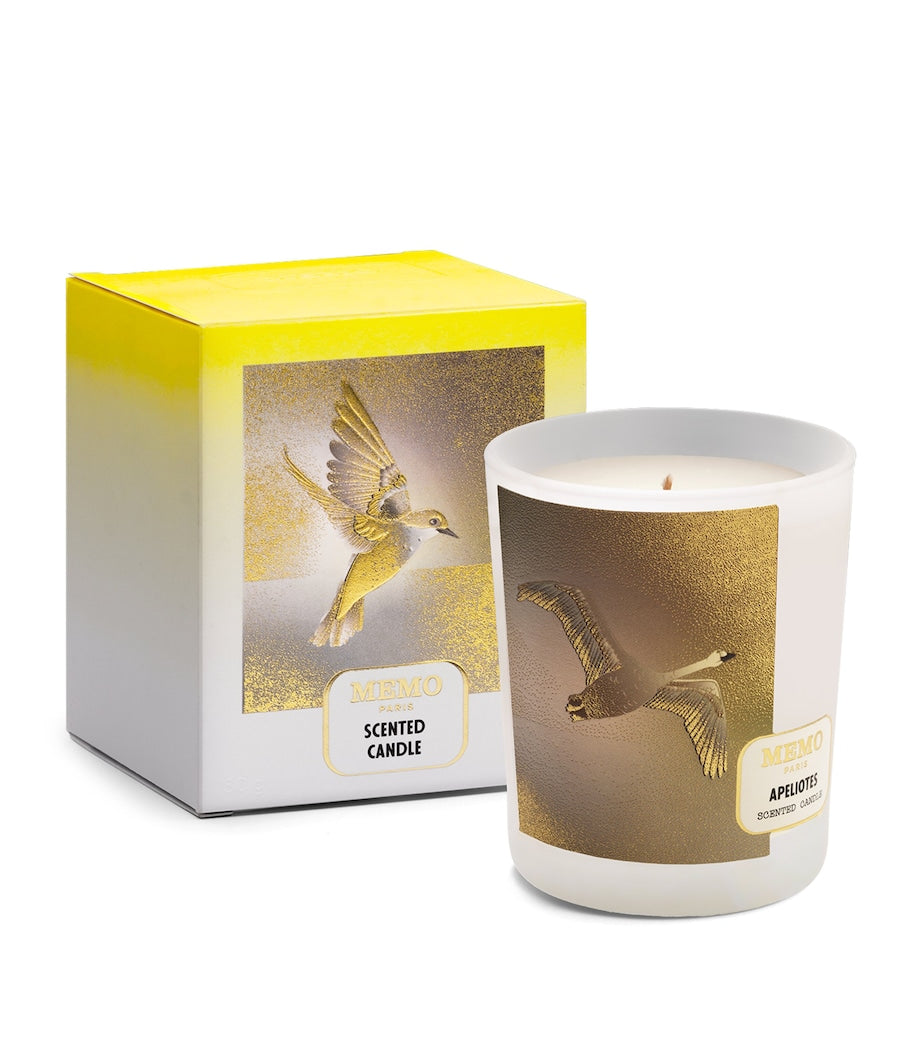 Apeliotes Candle (180g)