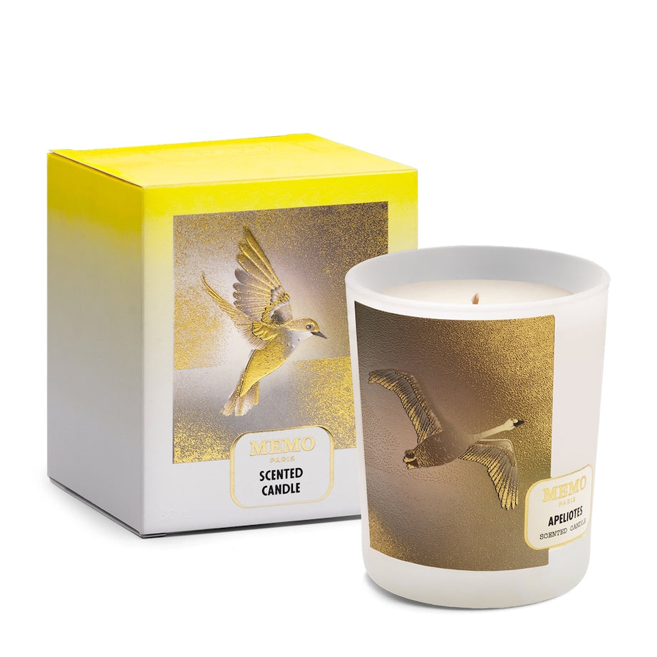 Apeliotes Candle (180g)