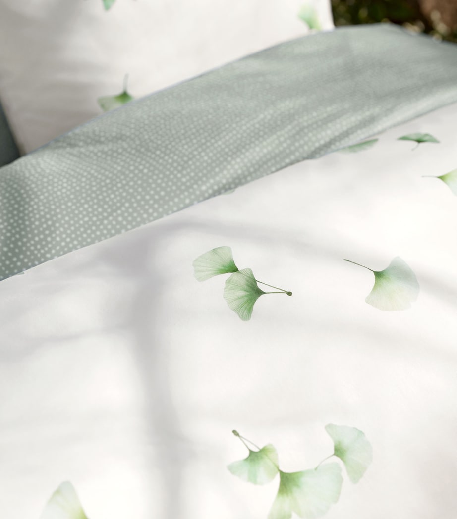 Schlossberg Cotton Aiko Super King Oxford Pillow Case (50cm x 90cm)