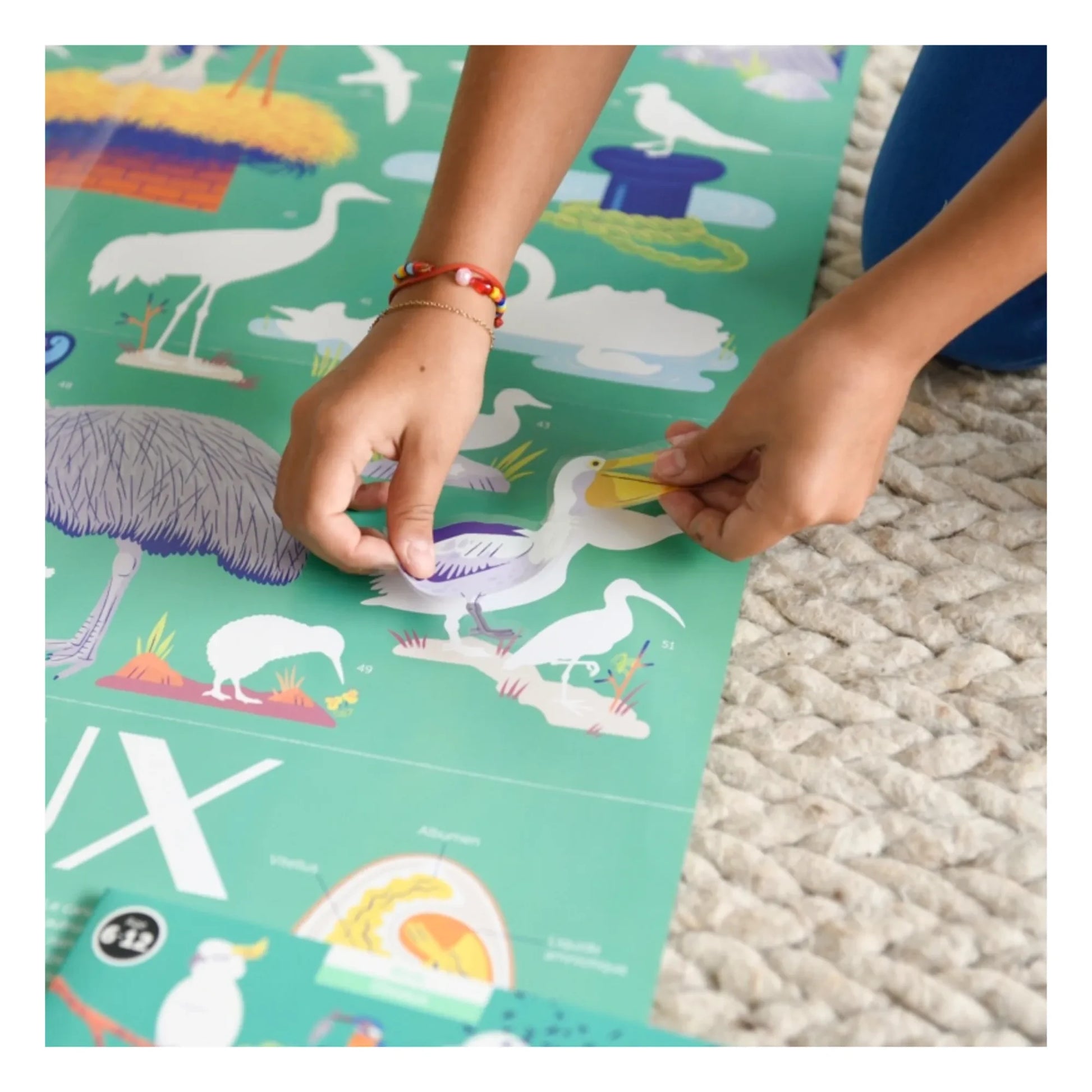 Poppik - Bird Poster and Stickers
