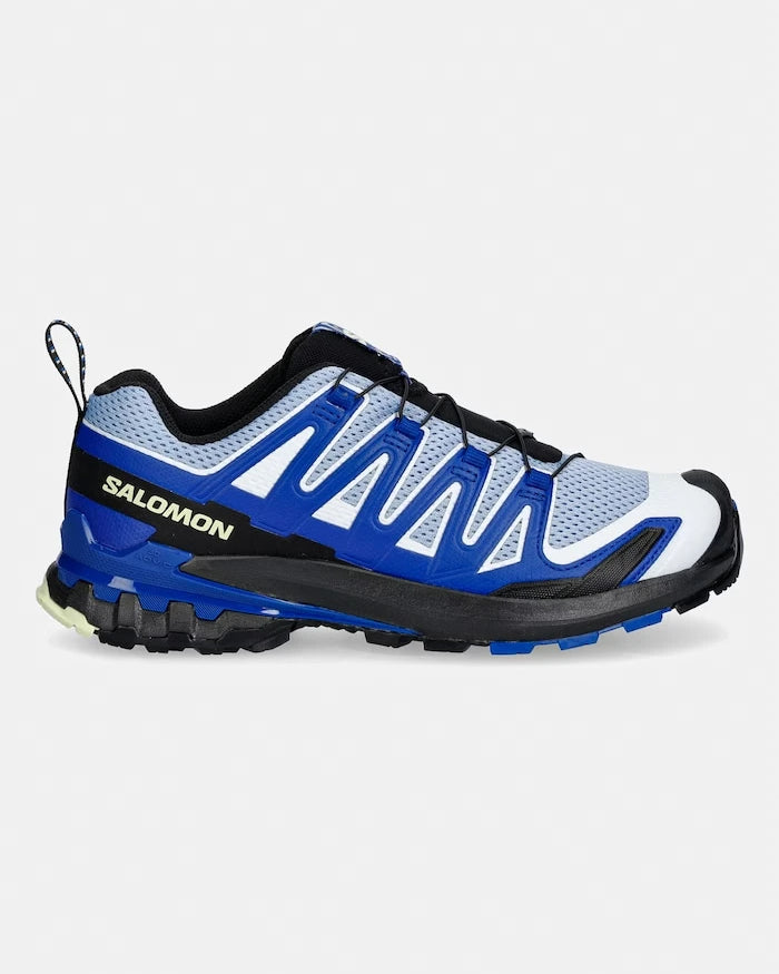 Salomon erkek trekking ayakkabıları XA PRO 3D V9