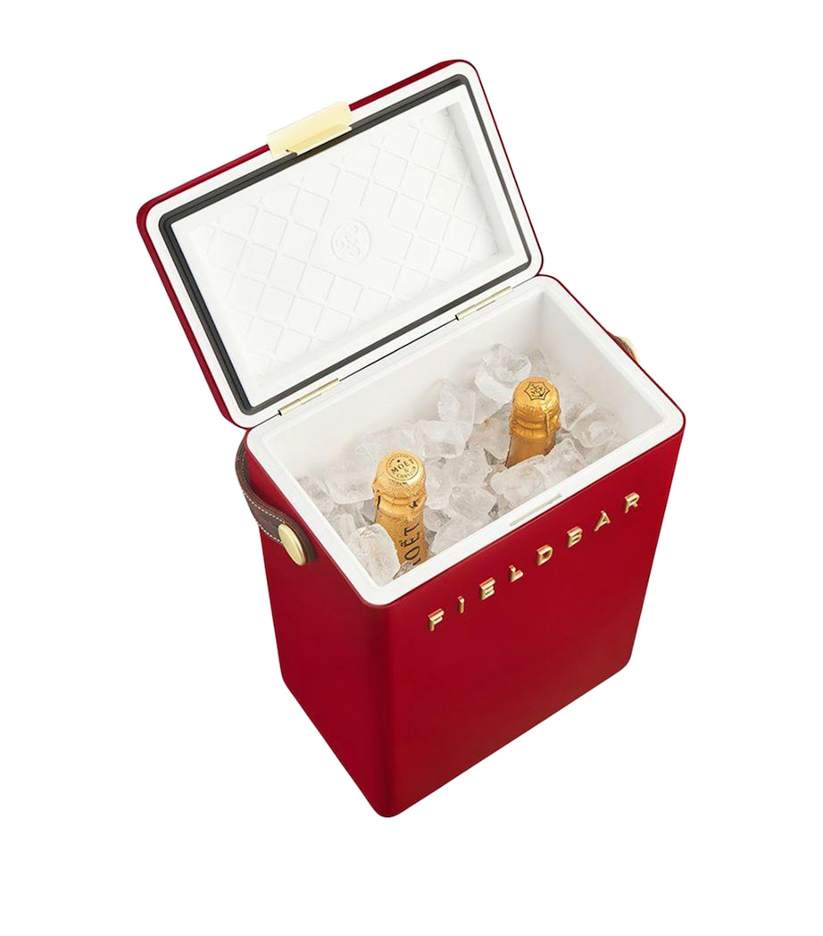 Drinks Box Cooler with Interchangeable Straps (10L)