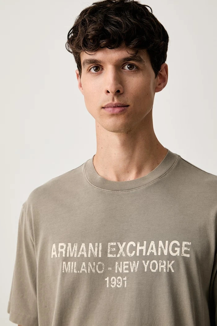 Armani Exchange erkek pamuklu tişört