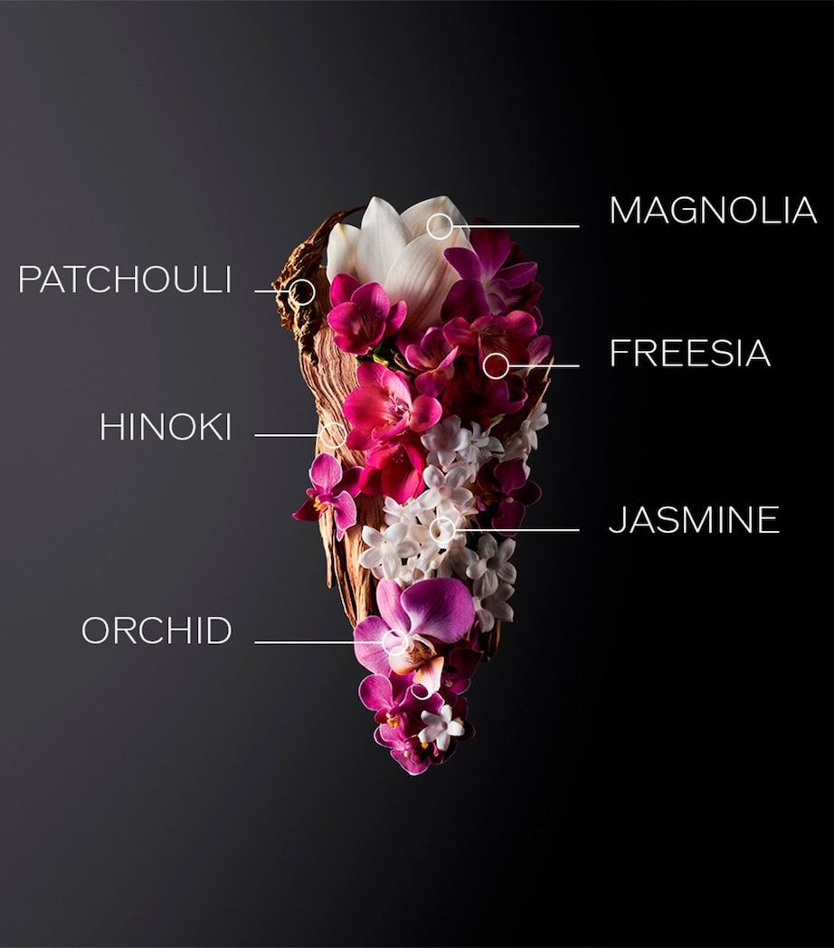 Ginza Eau de Parfum (50ml)