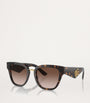 Brown Havana Butterfly Sunglasses