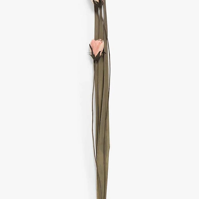 Изсушени цветя Calma House Dahlia (2 броя) 95-100 cm