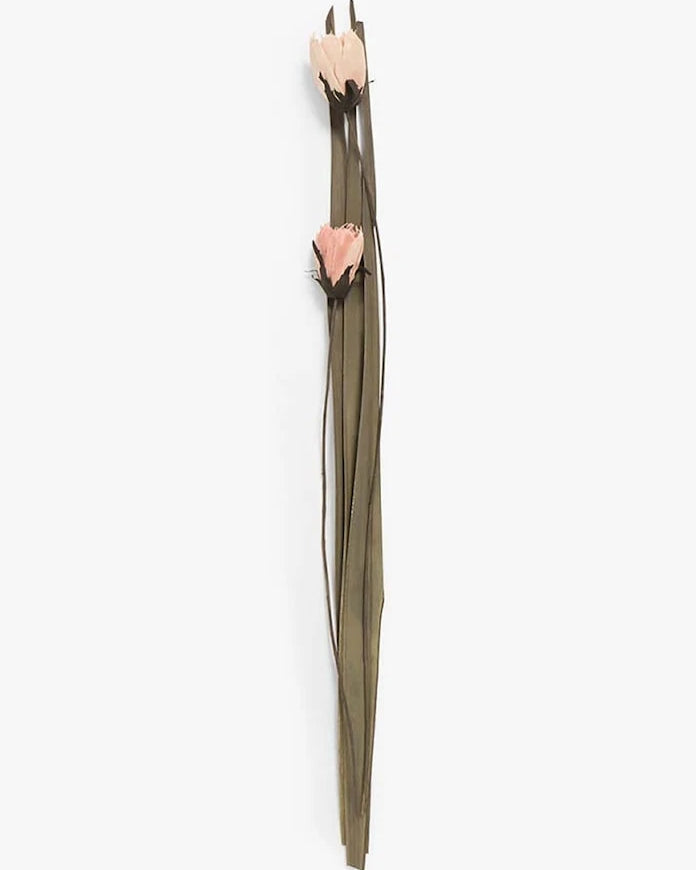 Изсушени цветя Calma House Dahlia (2 броя) 95-100 cm