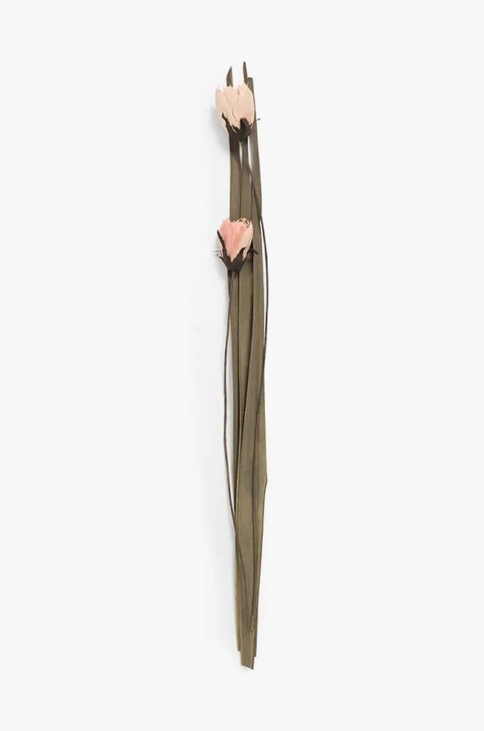 Изсушени цветя Calma House Dahlia (2 броя) 95-100 cm