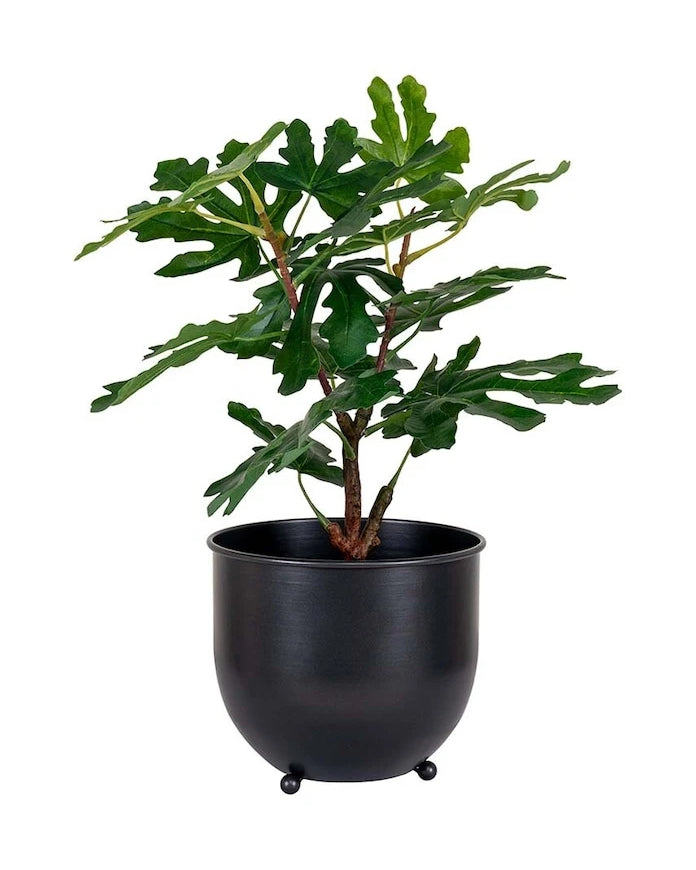 Saksıda Yapay Ağaç House Nordic Fig tree