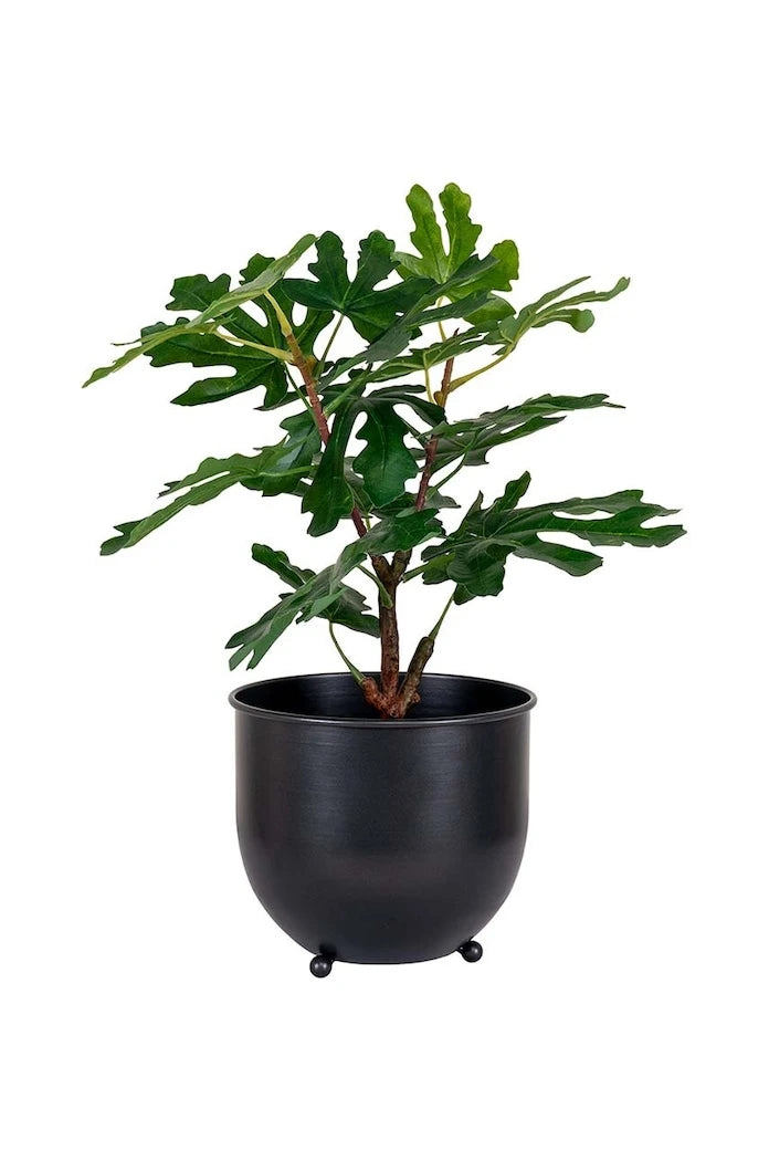 Изкуствено дърво в саксия House Nordic Fig tree