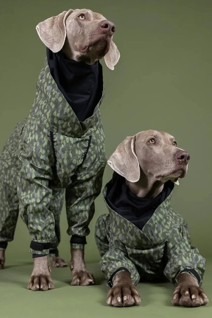 PAIKKA Rain Suit Rain 46 x 40 x 1,2 cm Köpek Yağmurluğu
