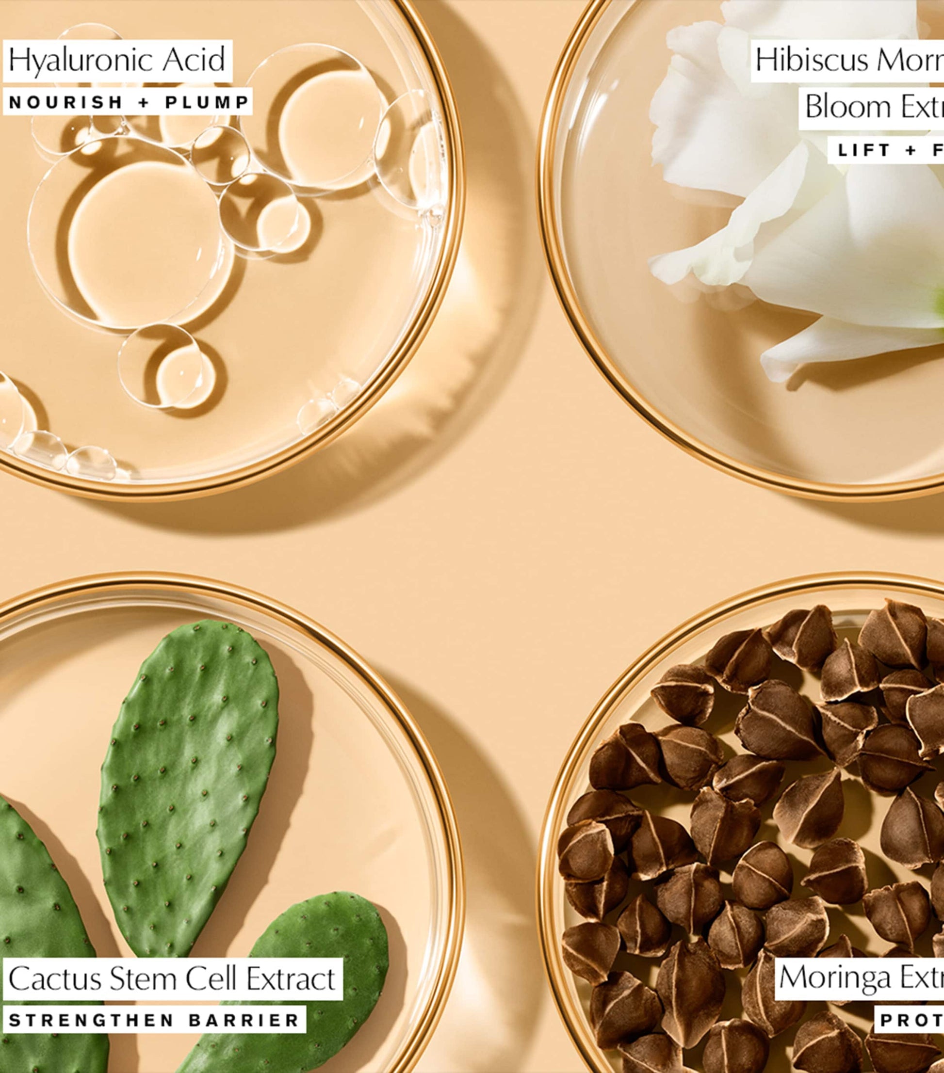 Estée Lauder Revitalizing Supreme+ Youth Power Eye Balm (15ml)