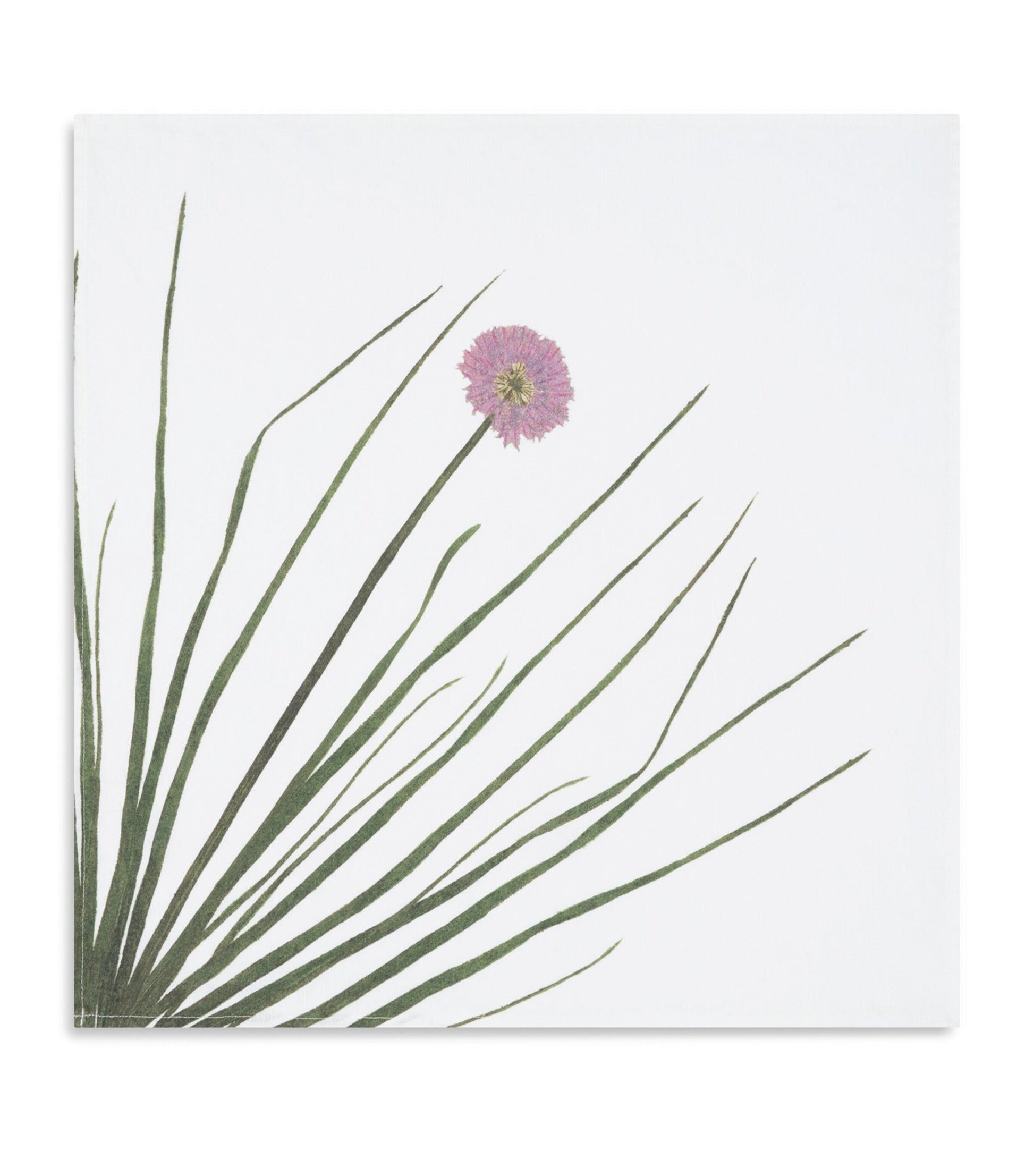 Set of 6 Linen Gastronomic Herb Garden Napkins (50cm x 50cm)