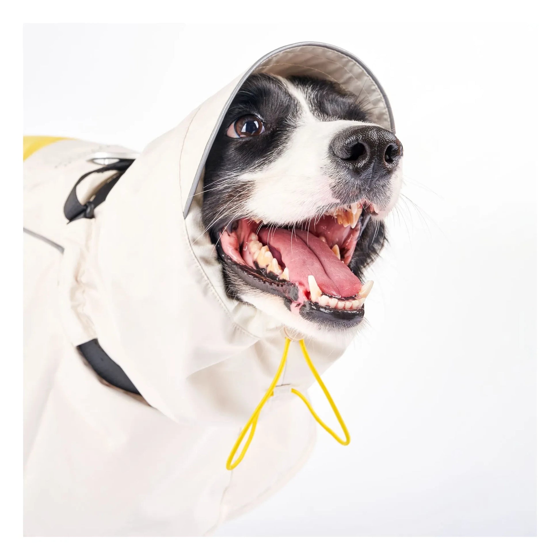 The Furry Folks - Venture rain coat | Yellow