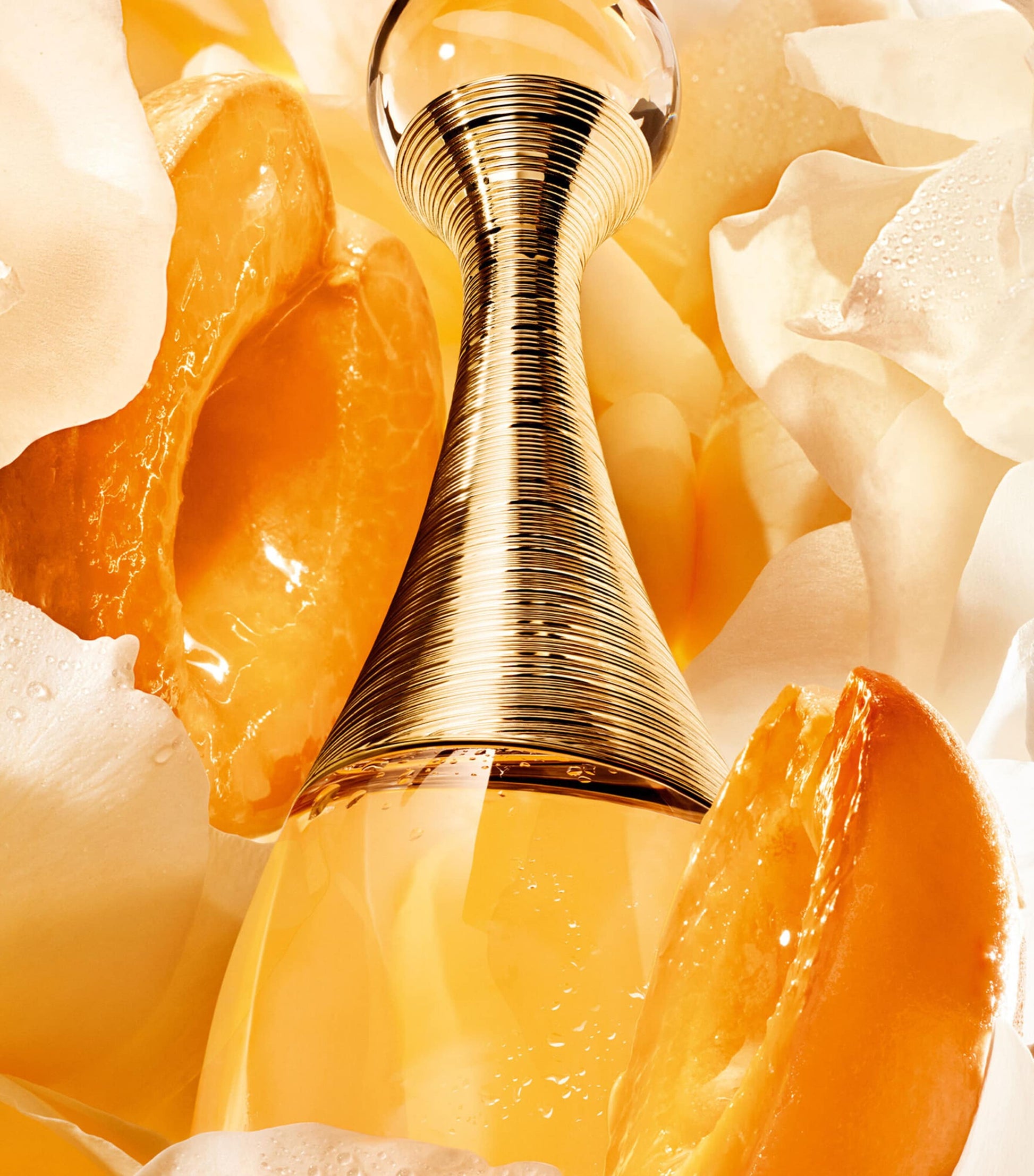 J’Adore Eau de Parfum (100ml)