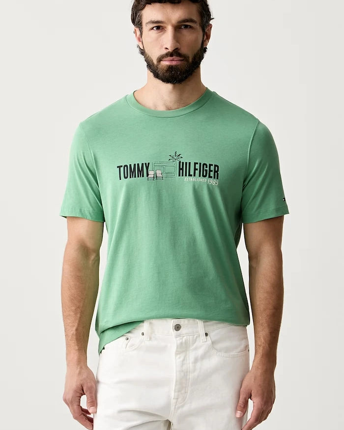 Tommy Hilfiger erkek pamuklu tişört