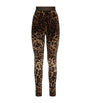 Dolce & Gabbana Multi Velvet Leopard Print Leggings