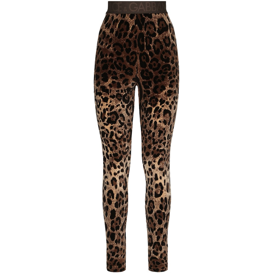 Dolce & Gabbana Multi Velvet Leopard Print Leggings