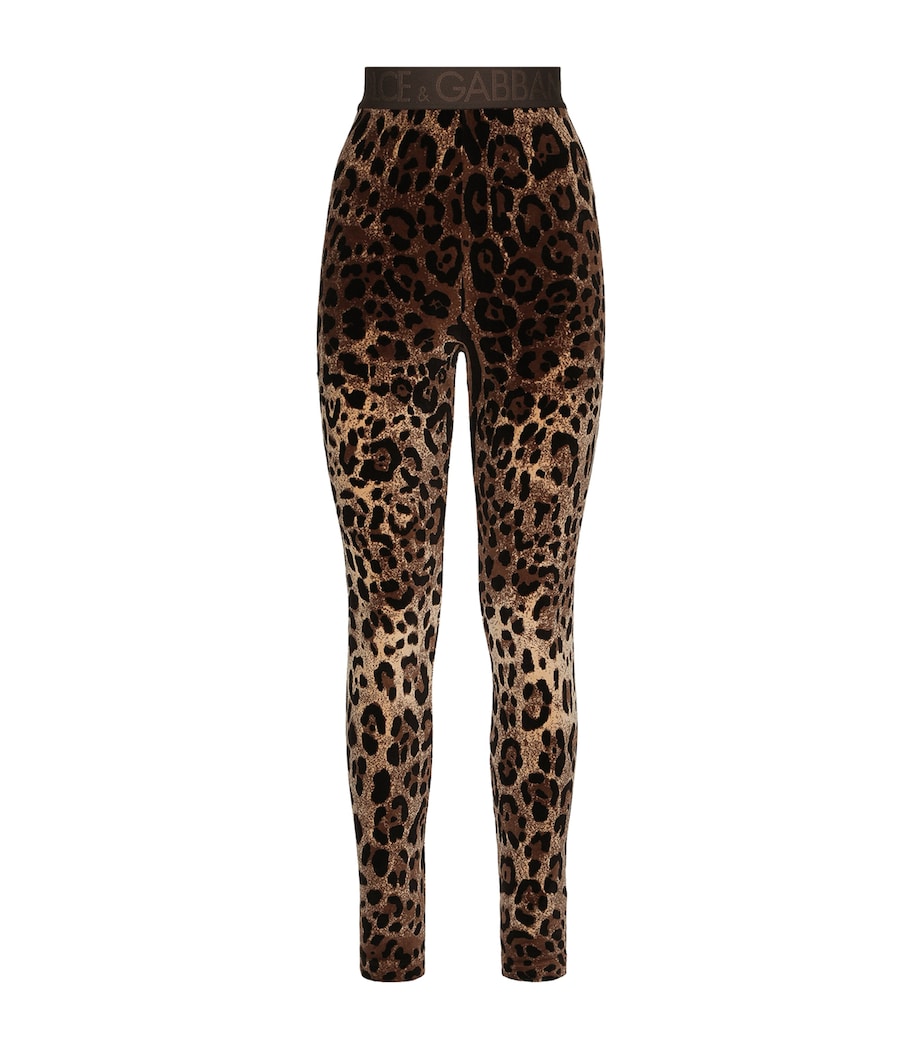 Dolce & Gabbana Multi Velvet Leopard Print Leggings