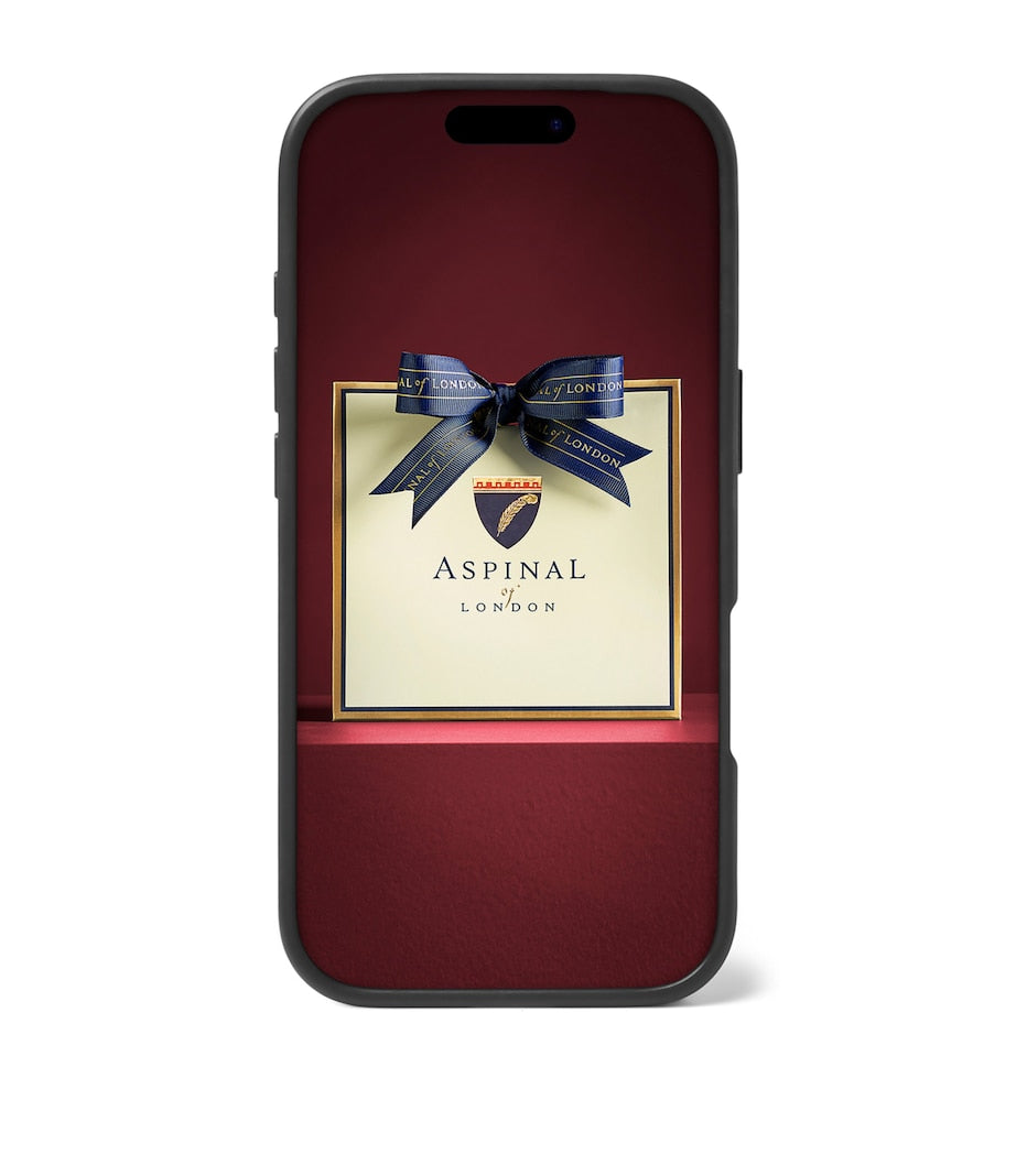 Aspinal Of London Black Grained Leather iPhone 17 Pro Case