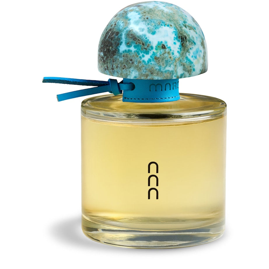 Marchanta Blue Larimar Botella Diffuser (500ml)