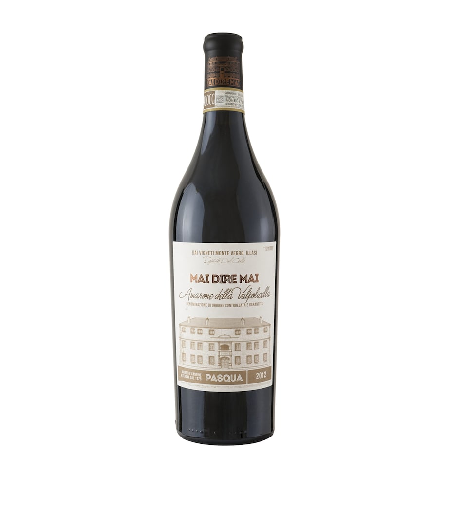 PASQUA Pasqua Mai Dire Mai Amarone della Valpolicella DOCG 2013 (75cl) - Veneto, Italy