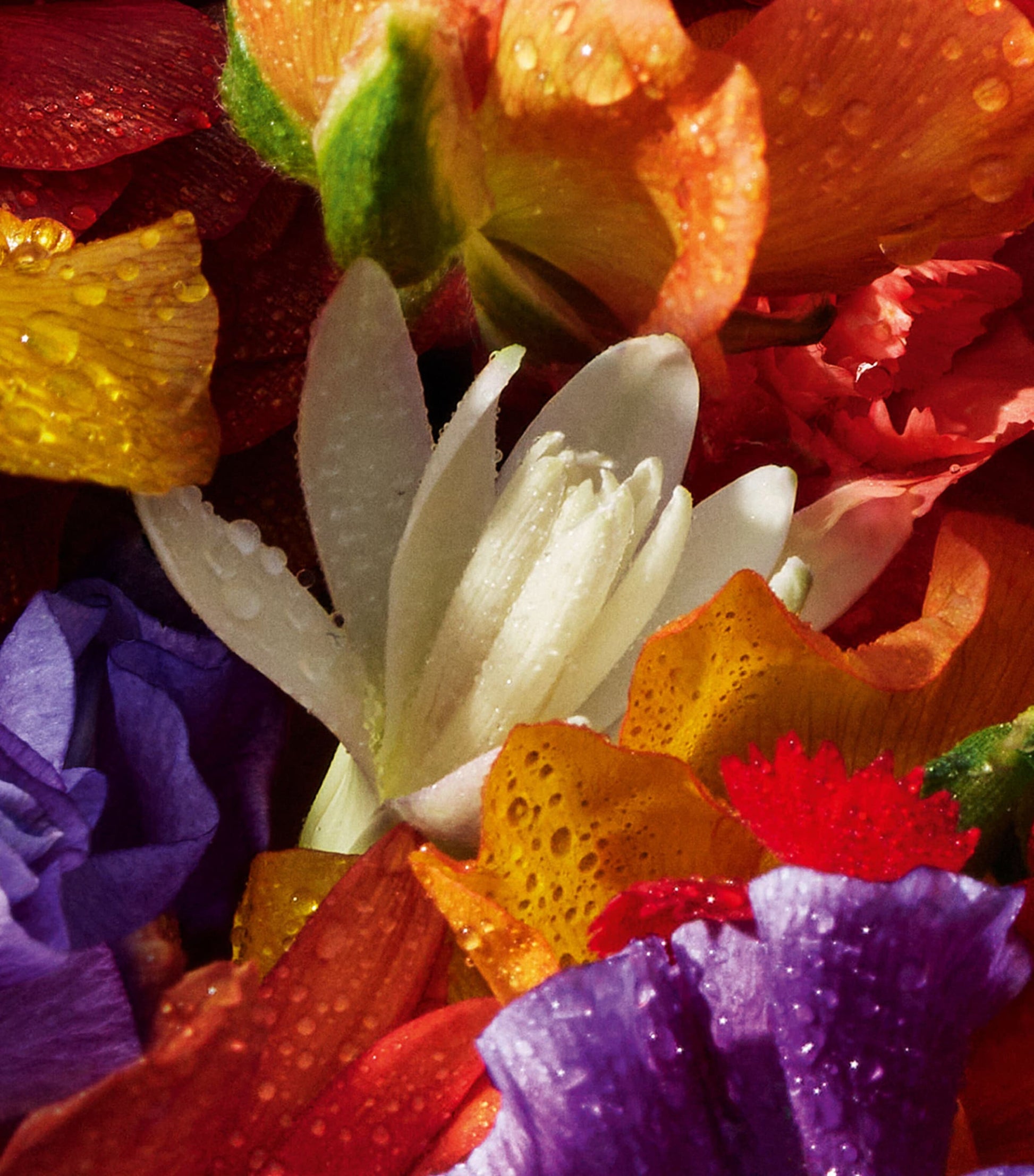 Aqua Allegoria Florabloom Forte Eau de Parfum (125ml)