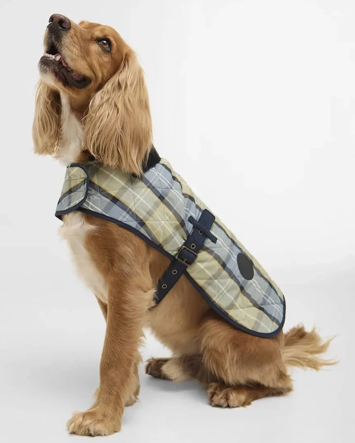 Barbour Tartan Köpek Paltosu