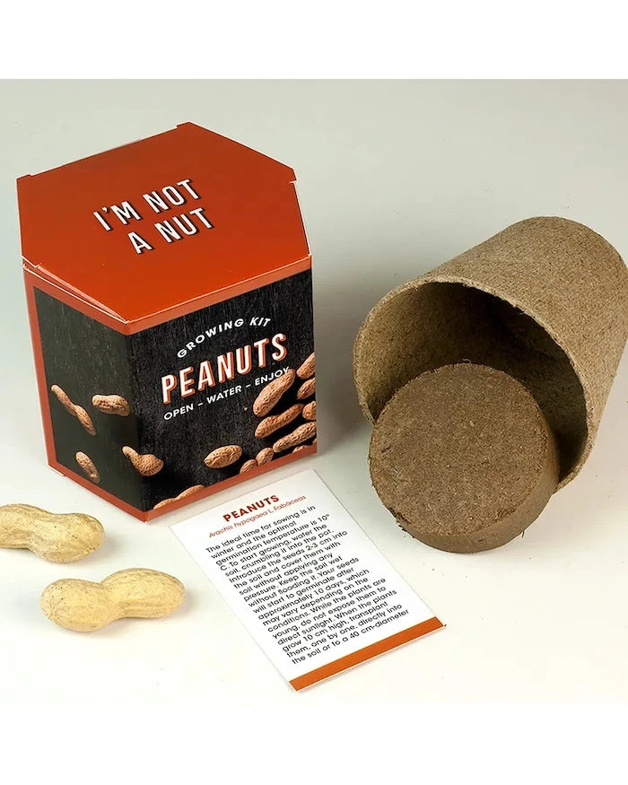 Комплект за отглеждане на растения RESETEA Peanuts Growing Kit 9,8 x 8,8 x 8,8 cm