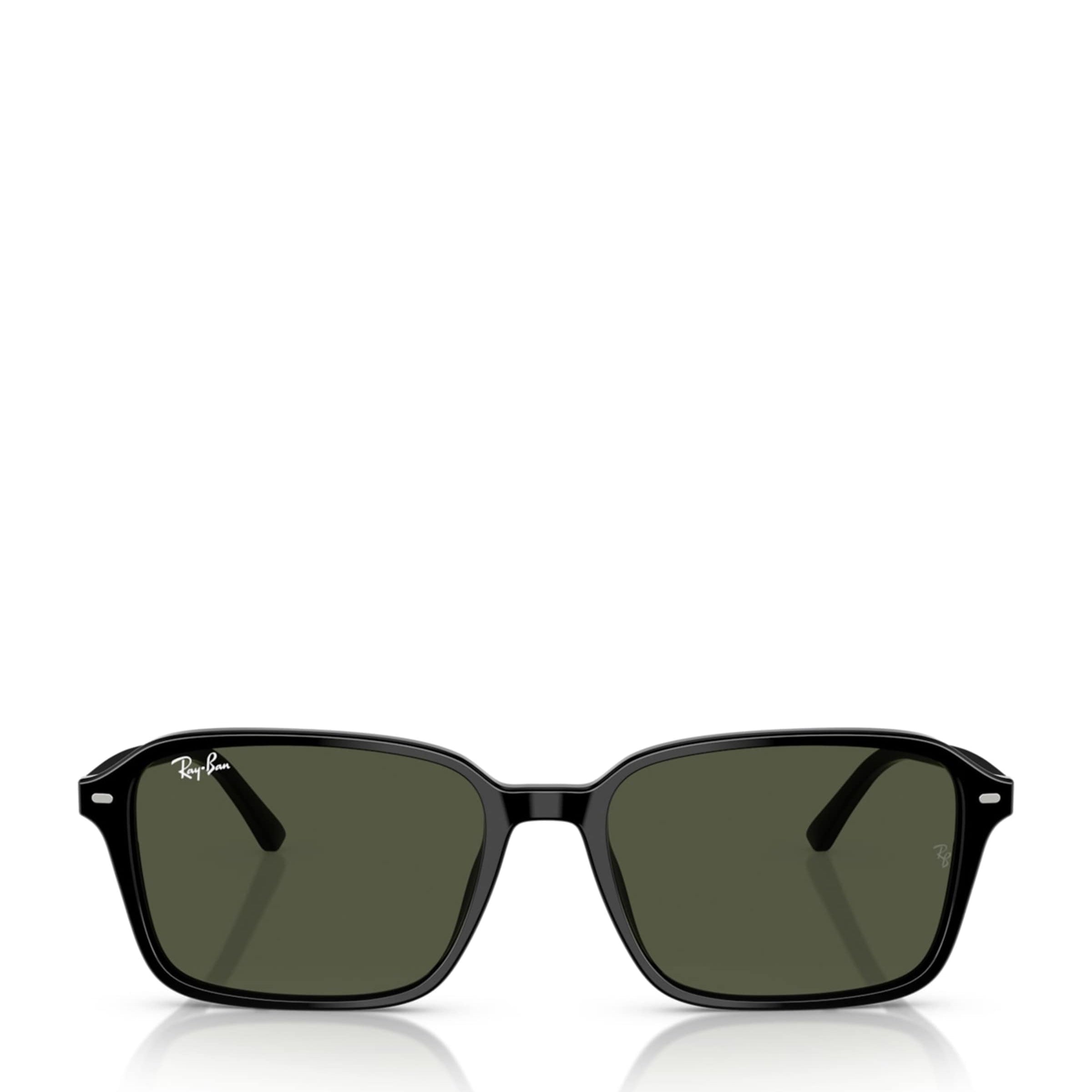 Ray-Ban Black RB2231 Raimond Sunglasses