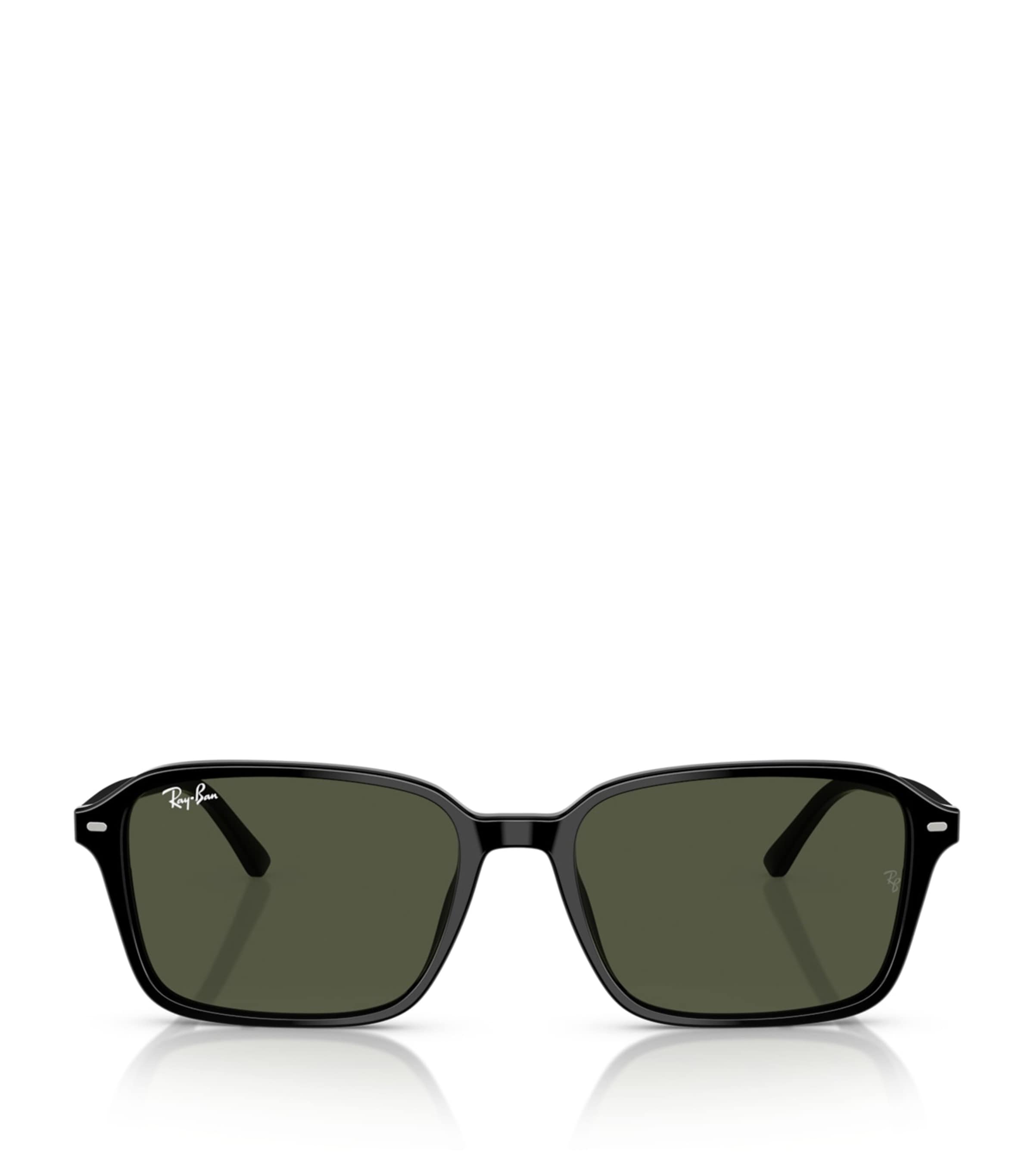 Ray-Ban Black RB2231 Raimond Sunglasses