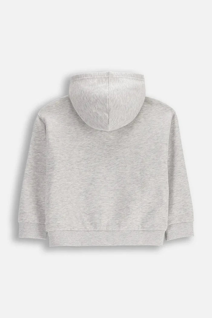 Pamuklu çocuk kapüşonlu sweatshirt Coccodrillo