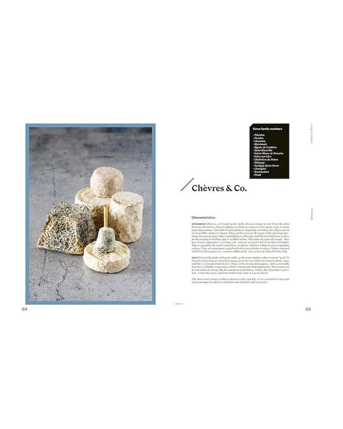 The Complete Book of Cheese by Anne-Laure Pham, İngilizce