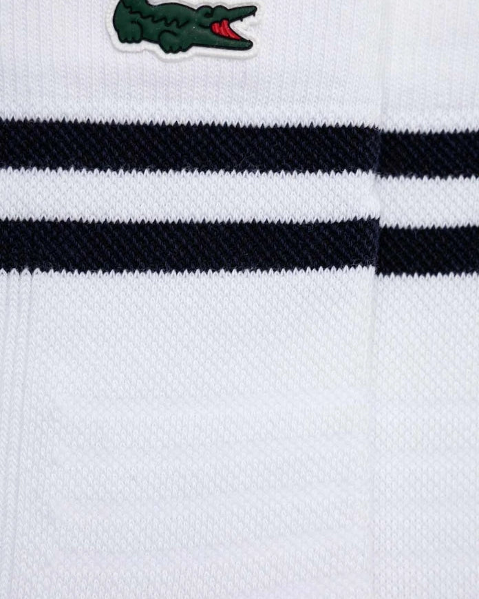 Lacoste Çorap