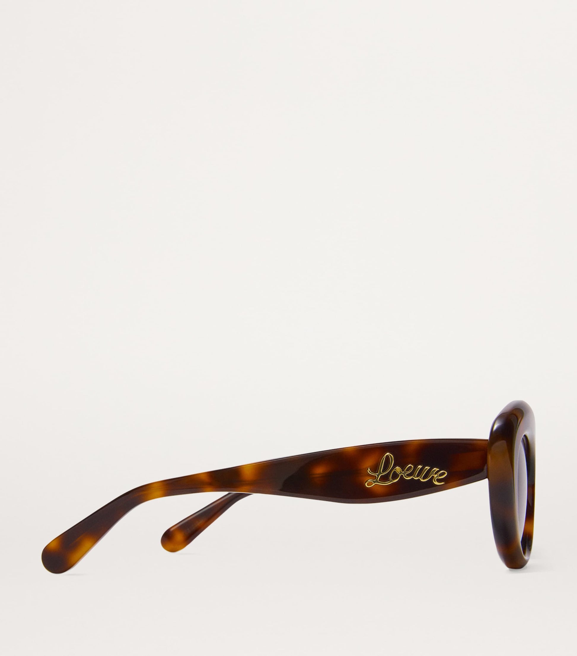 LOEWE Brown Acetate Dawn Oval Sunglasses