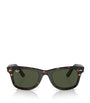 Acetate Wayfarer Sunglasses