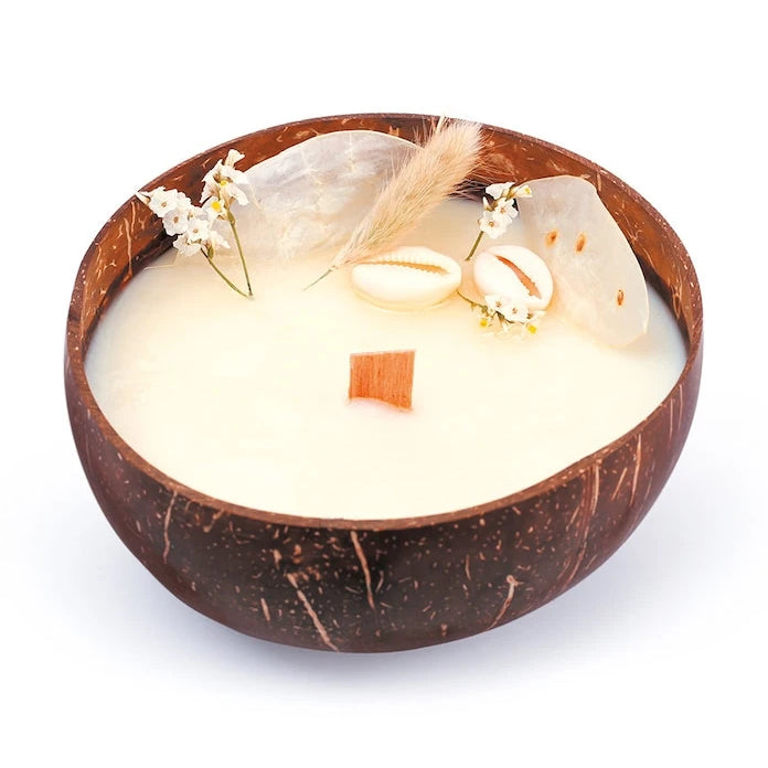Graine Creative DIY Aromalı Mum Seti Coconut Candle
