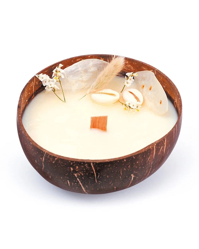 Graine Creative DIY Aromalı Mum Seti Coconut Candle